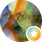 Profielfoto van Linda